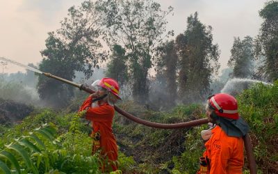 Respons Karhutla di Desa Teluk Rawa, Relawan Rumah Zakat Bersama BPK Gabungan Padamkan Titik Api