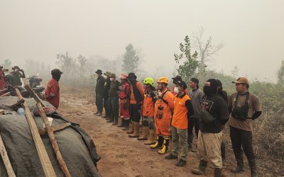 Rumah Zakat Berkolaborasi dengan Manggala Agni Tangani Karhutla di Palangkaraya