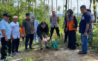 Rumah Zakat Tanam 64 Bibit Pohon di Tapanuli Selatan, Dukung Kelestarian Lingkungan