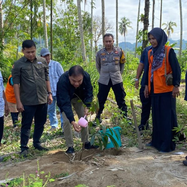 Relawan Rumah Zakat menanam 64 bibit pohon di Tapanuli Selatan