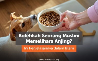 Bolehkah Seorang Muslim Memelihara Anjing? Ini Penjelasannya dalam Islam