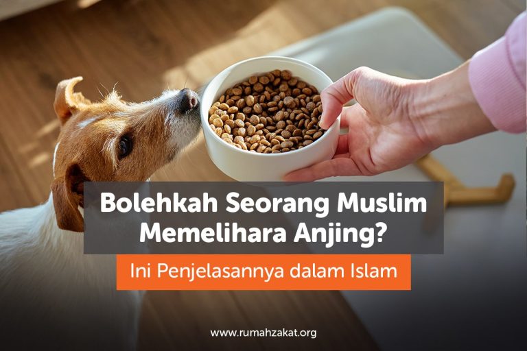 Bolehkah Seorang Muslim Memelihara Anjing? Ini Penjelasannya dalam Islam