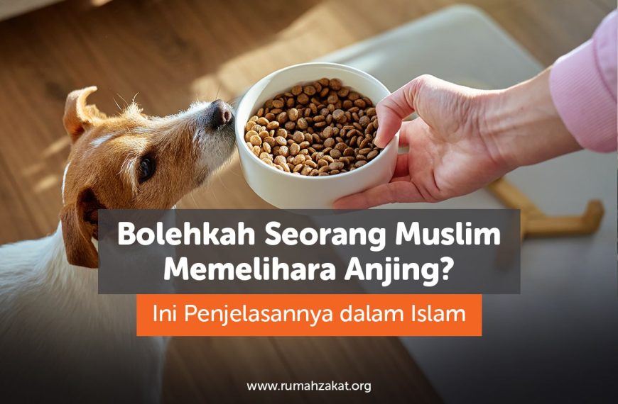 Ilustrasi seorang Muslim memahami hukum memelihara anjing dalam Islam
